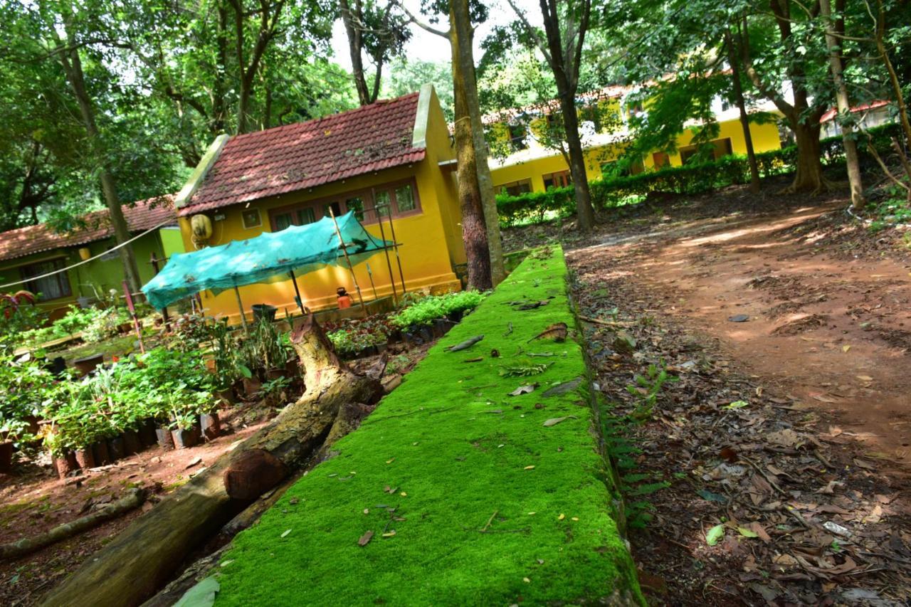 Zeenath Taj Gardens Hotel Yelagiri Exterior photo